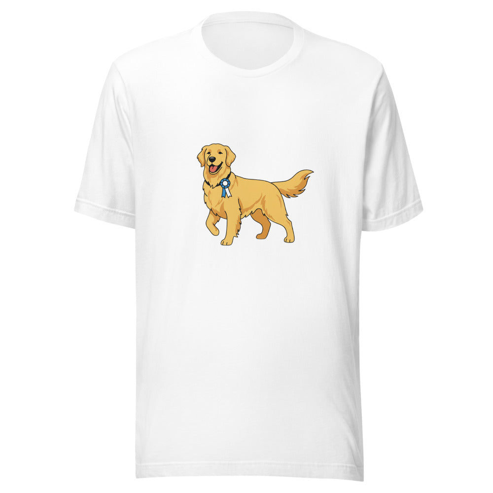 show golden retriever - 4011