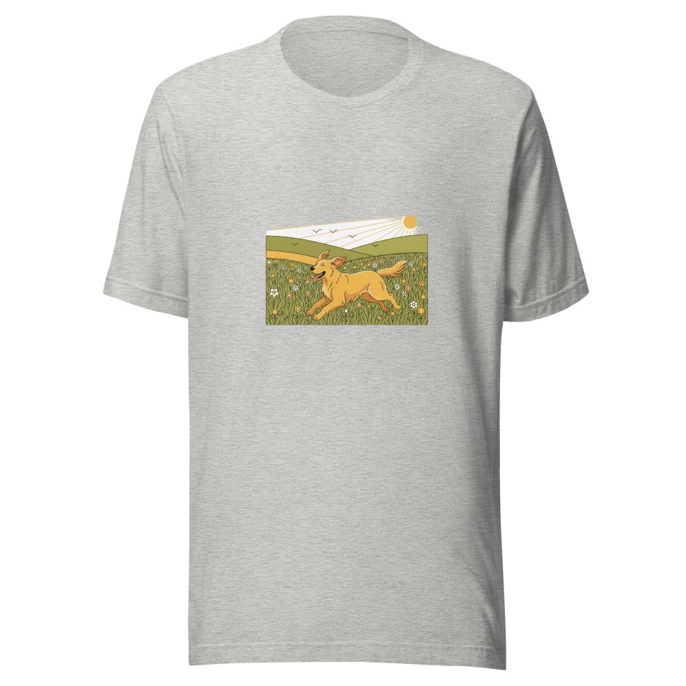 field golden retriever - 6948
