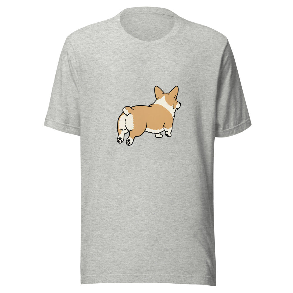 pembroke corgi - 6948