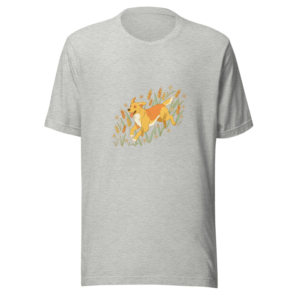 field golden retriever - 6948
