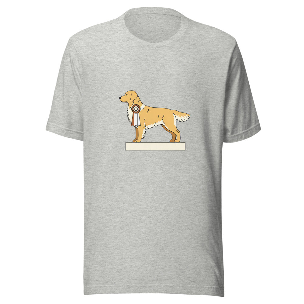 show golden retriever - 6948