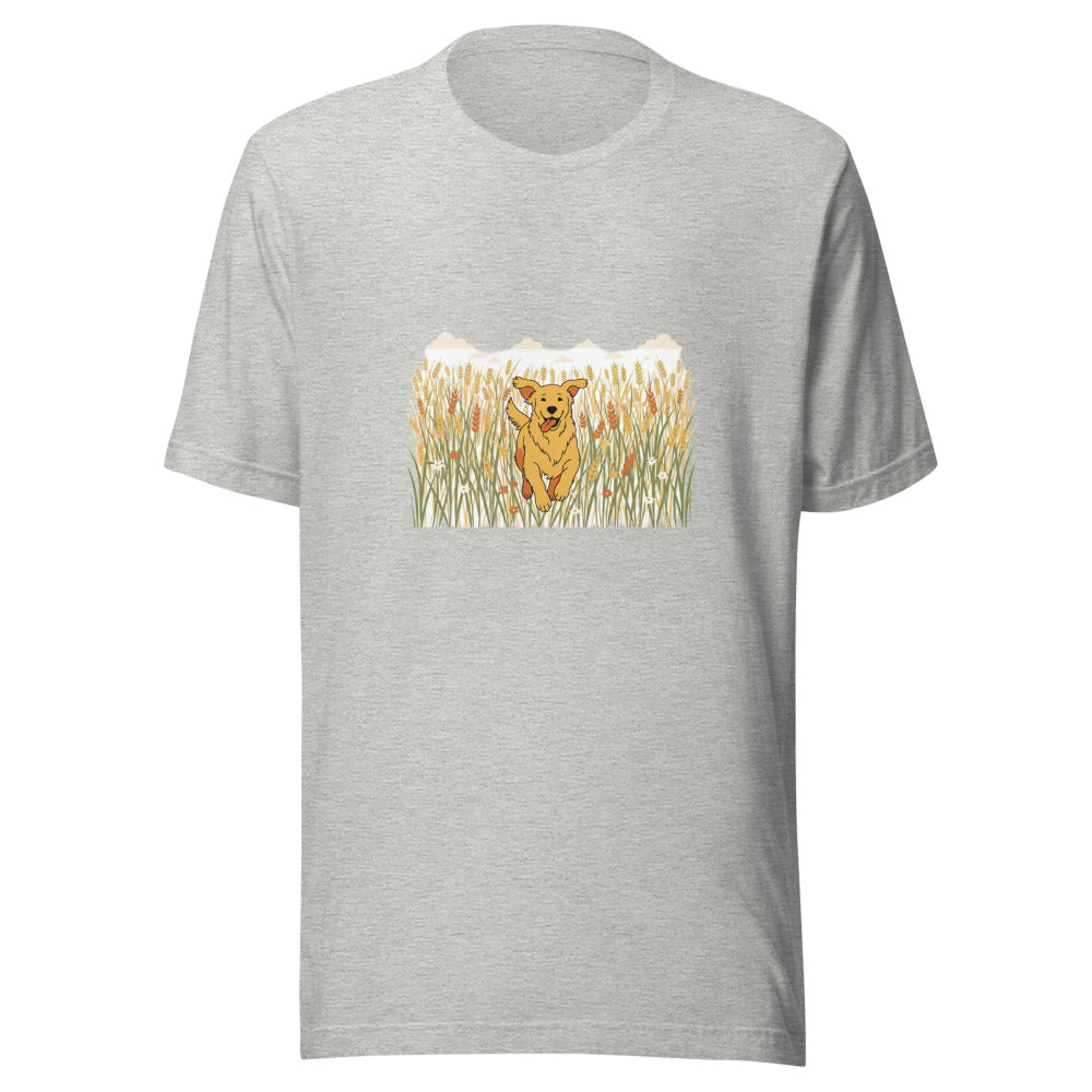 field golden retriever - 6948