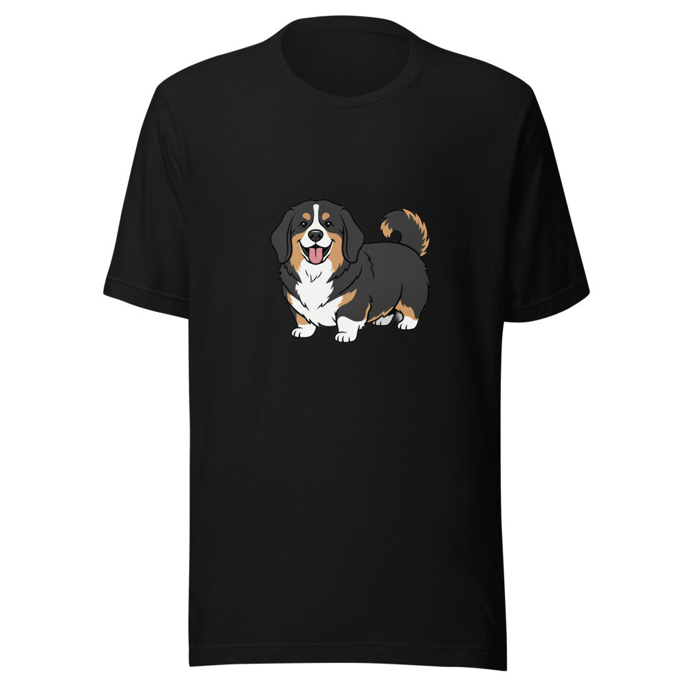 newfoundland corgi mix - 4016