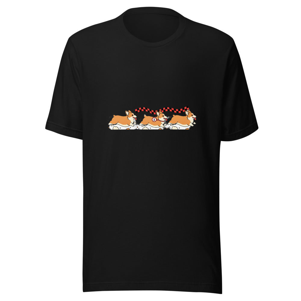 corgi race - 4016