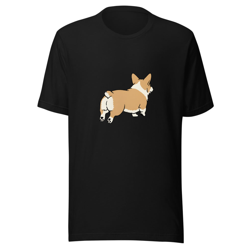 pembroke corgi - 4016