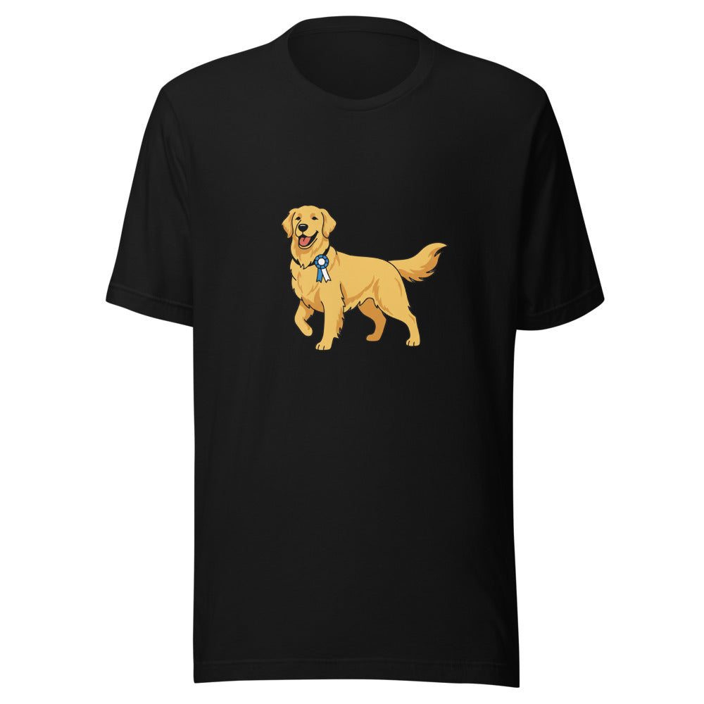 show golden retriever - 4016