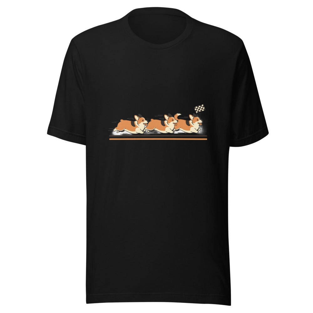 corgi race - 4016