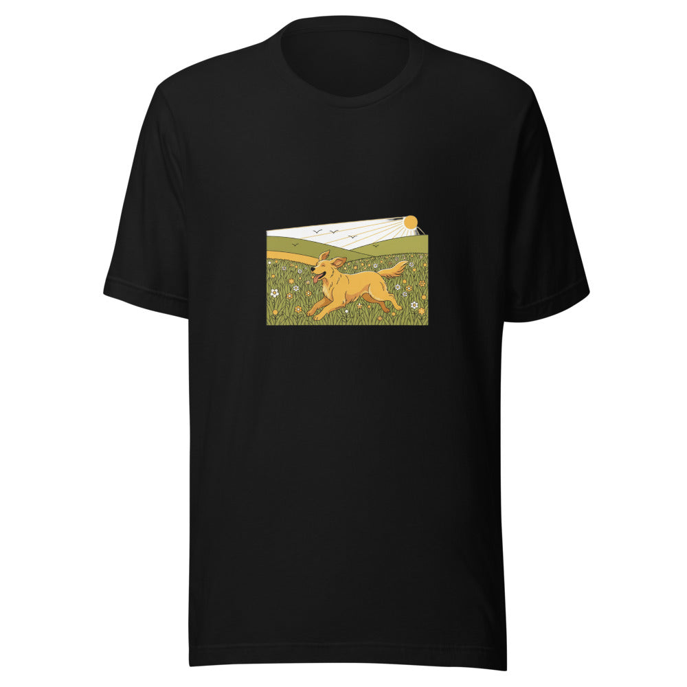 field golden retriever - 4016
