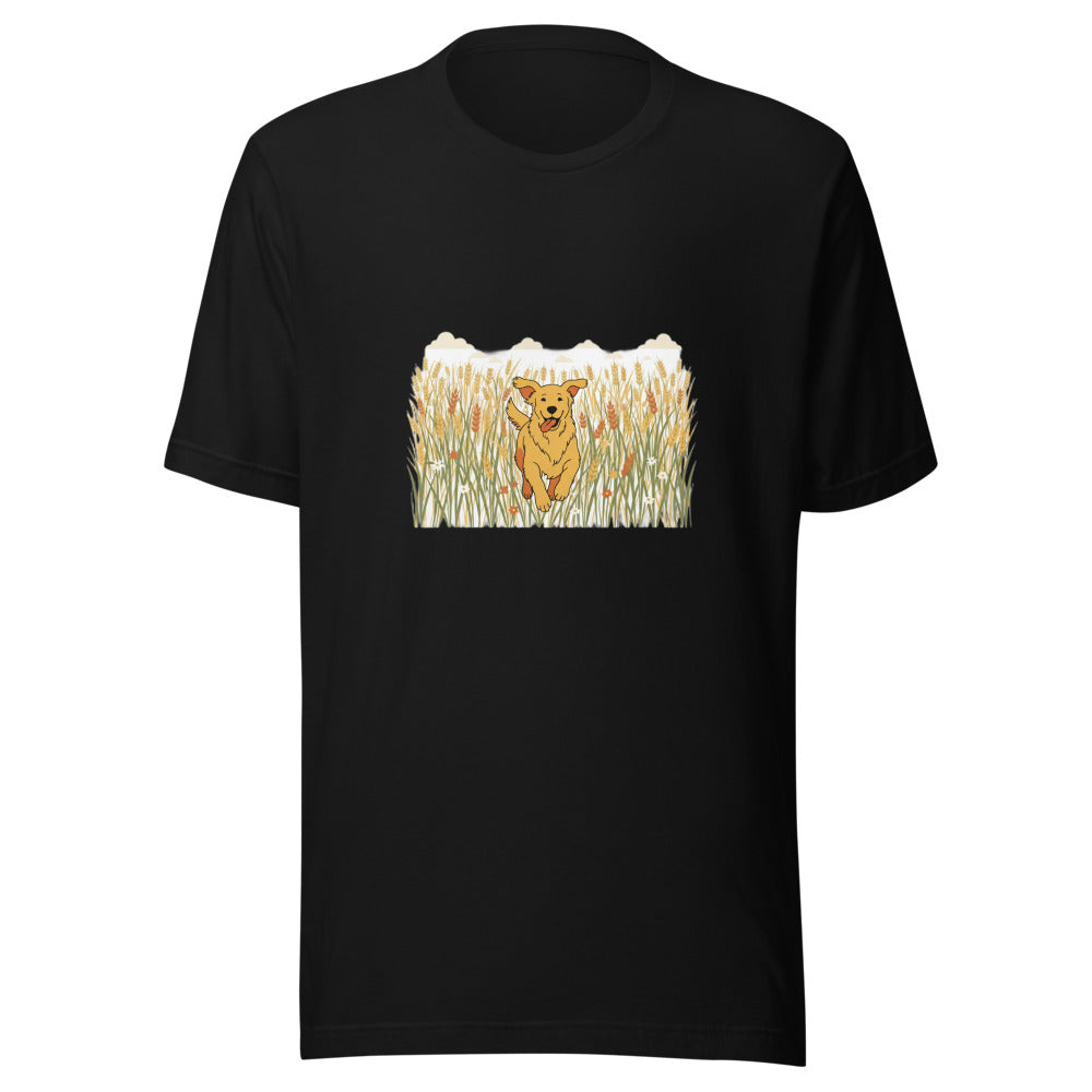 field golden retriever - 4016