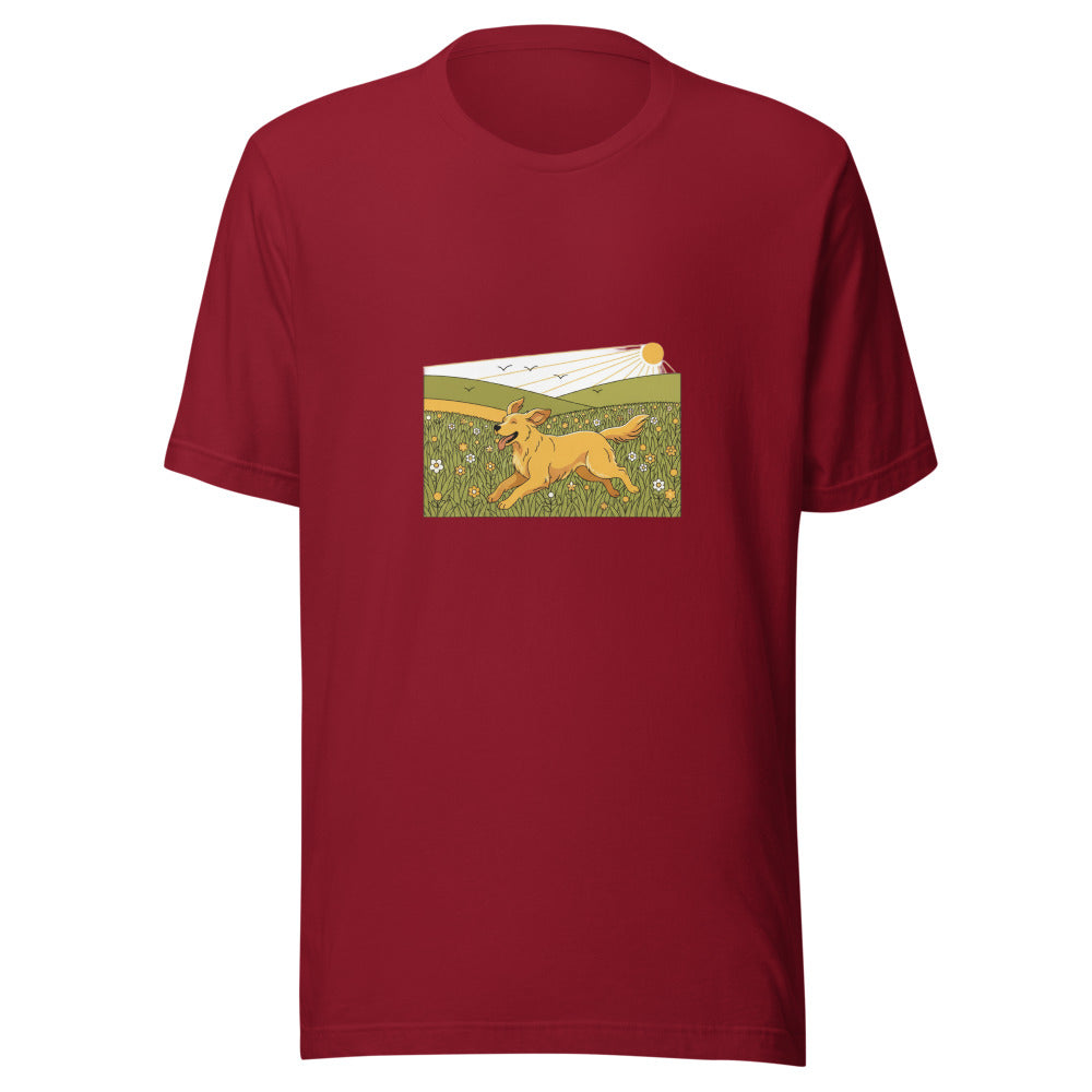 field golden retriever - 4061