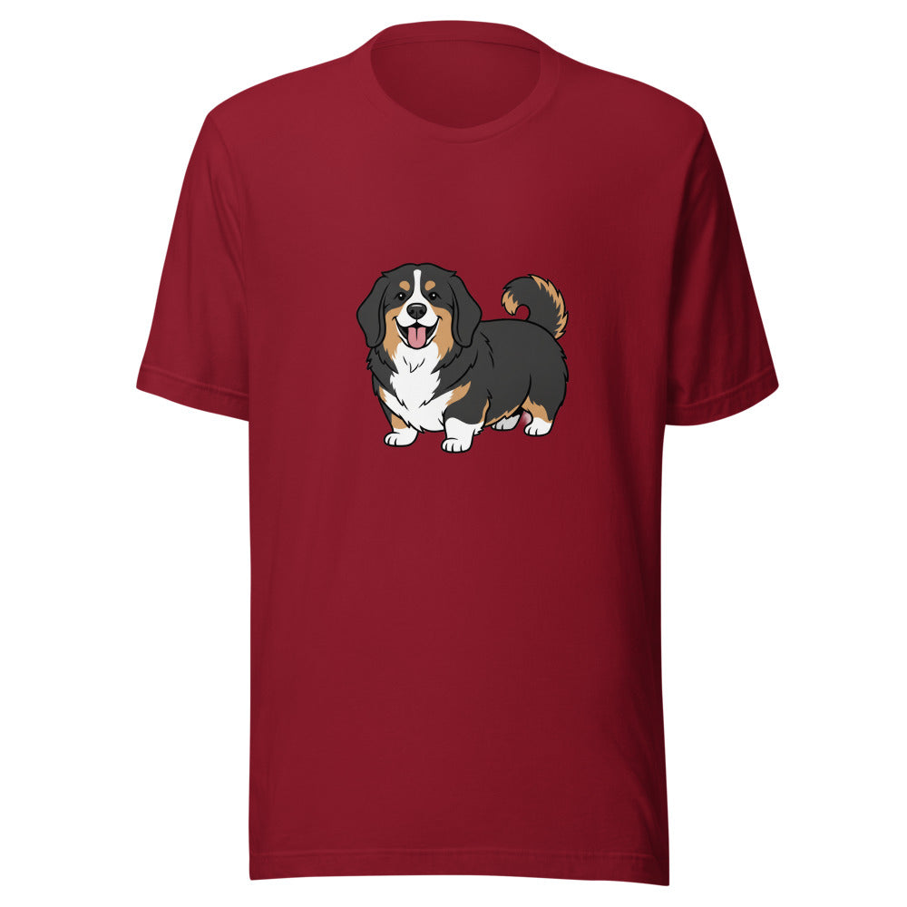 newfoundland corgi mix - 4061