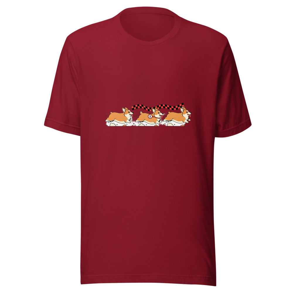 corgi race - 4061