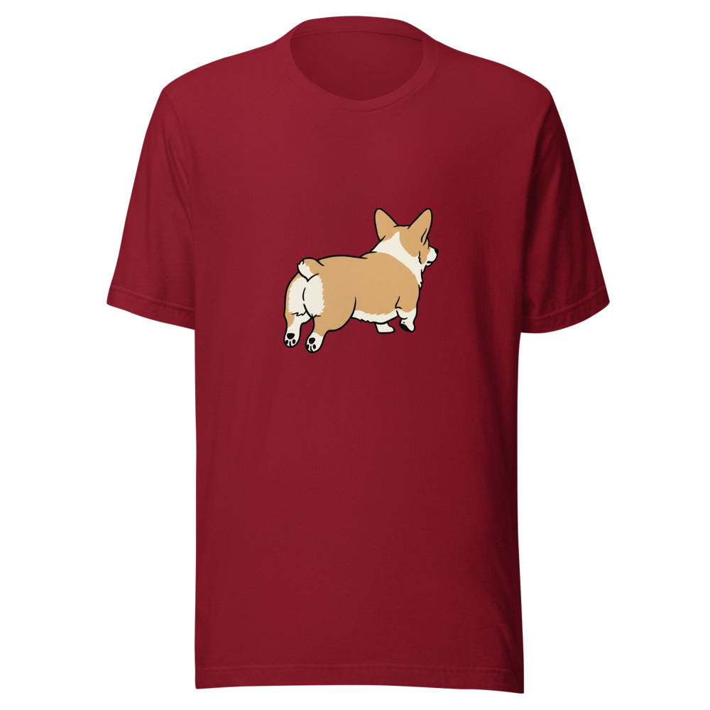 pembroke corgi - 4061