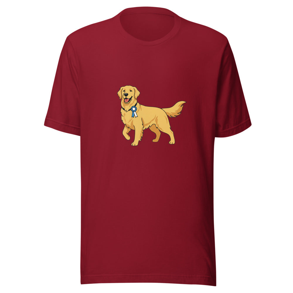 show golden retriever - 4061