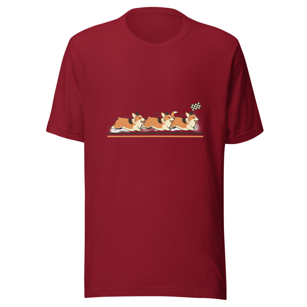 corgi race - 4061