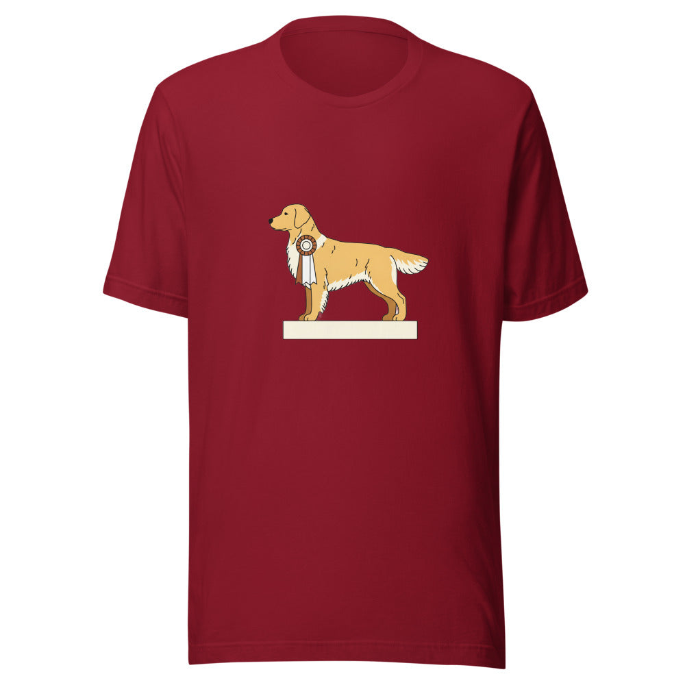 show golden retriever - 4061
