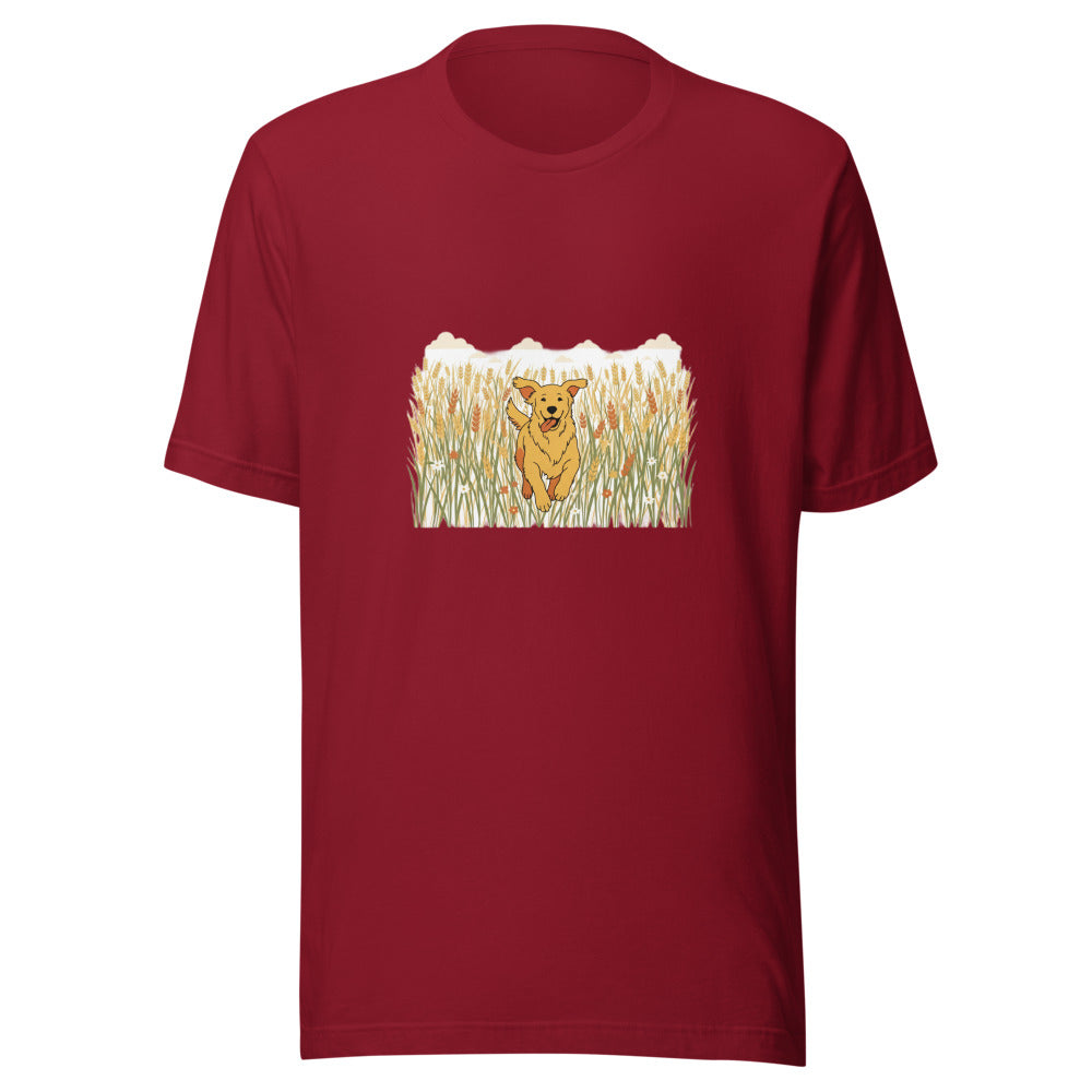 field golden retriever - 4061