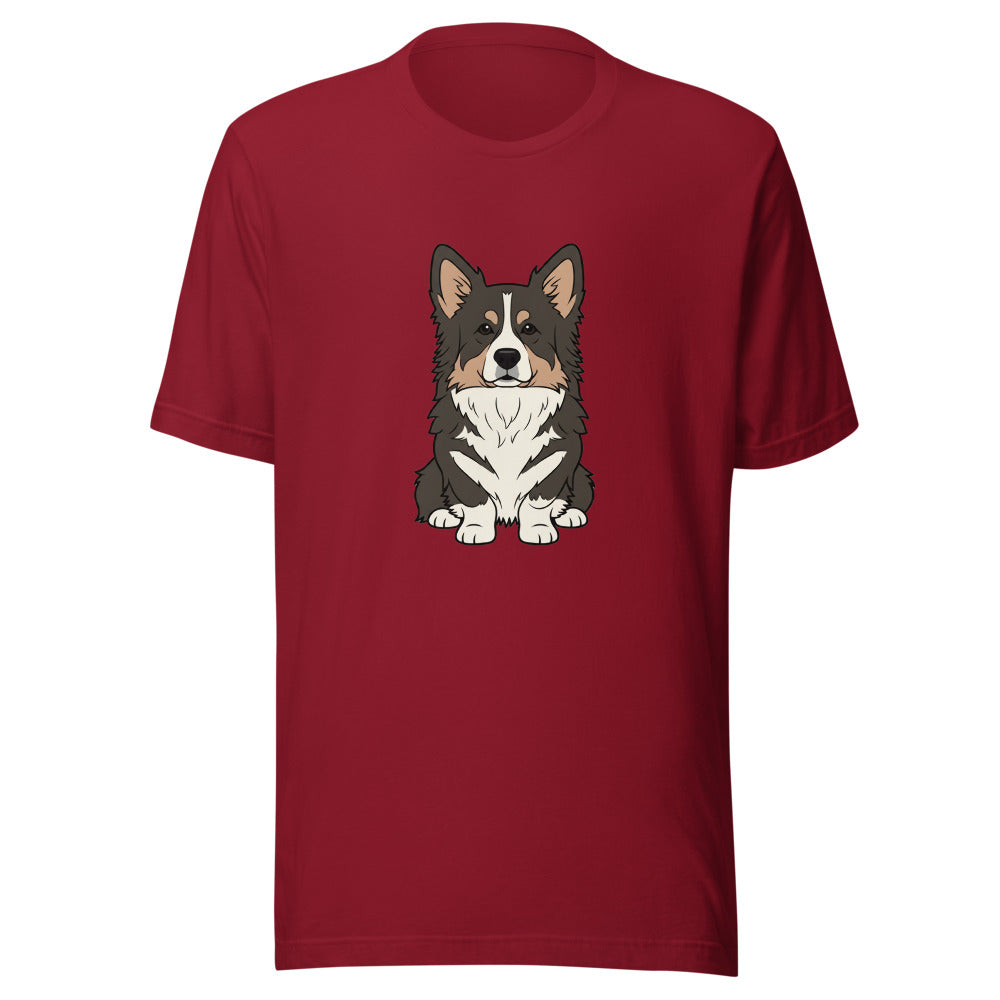 newfoundland corgi mix - 4061