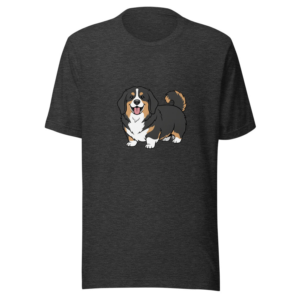 newfoundland corgi mix - 8460