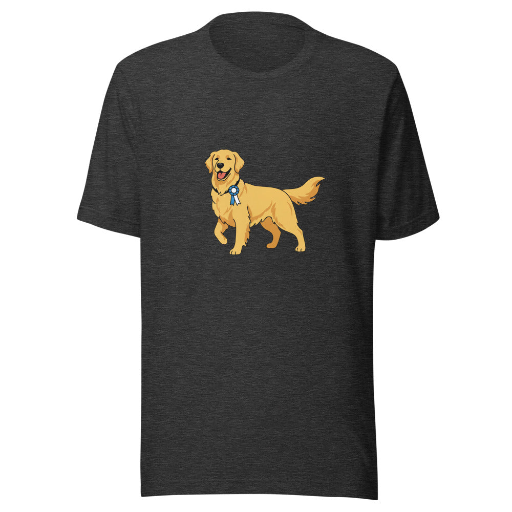 show golden retriever - 8460