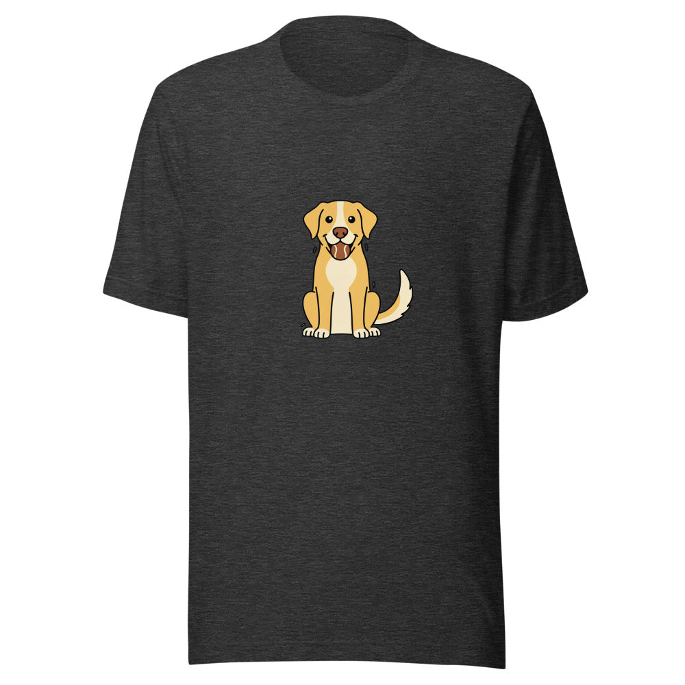 labrador retriever - 8460