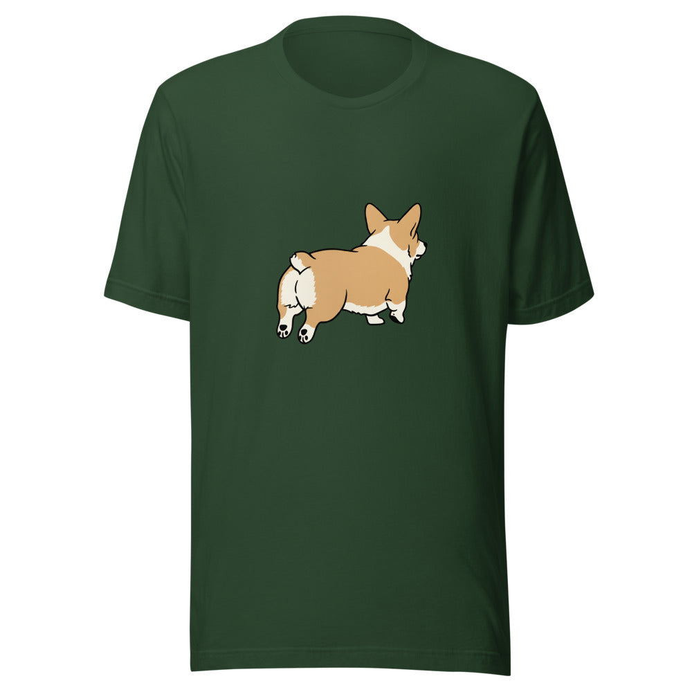 pembroke corgi - 8451