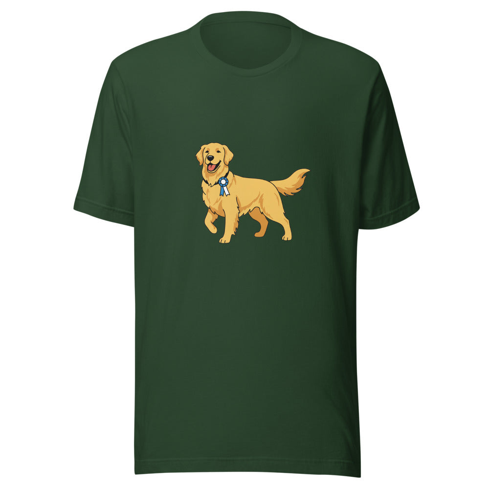 show golden retriever - 8451