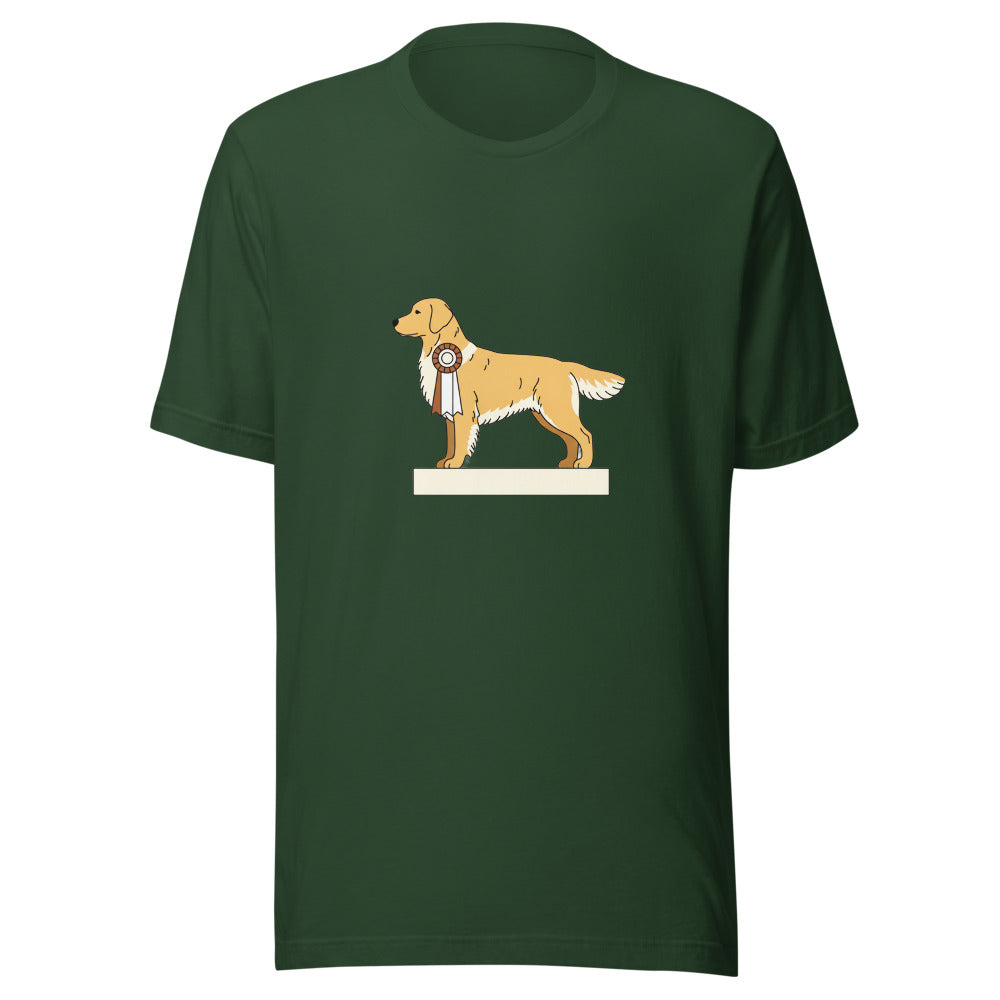 show golden retriever - 8451