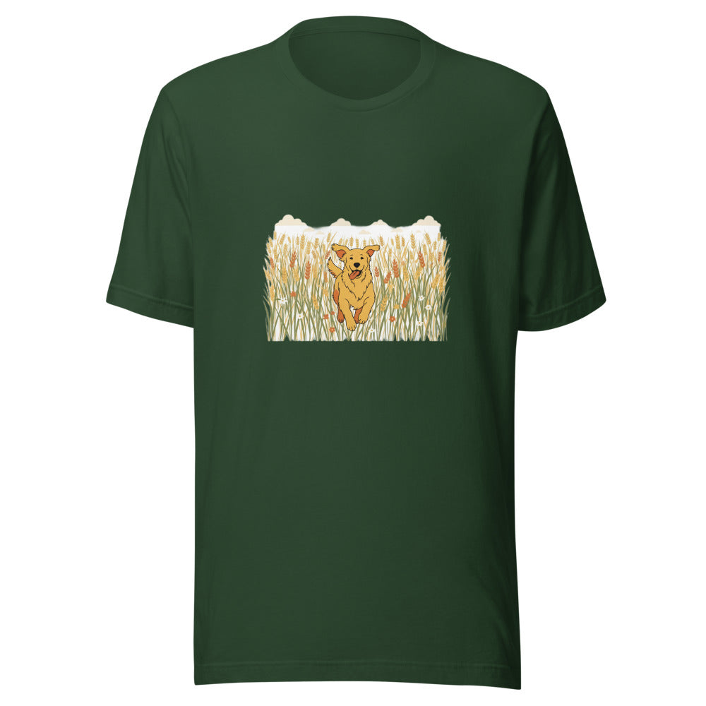 field golden retriever - 8451