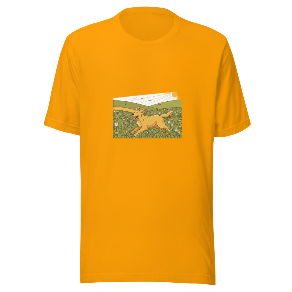 field golden retriever - 4081