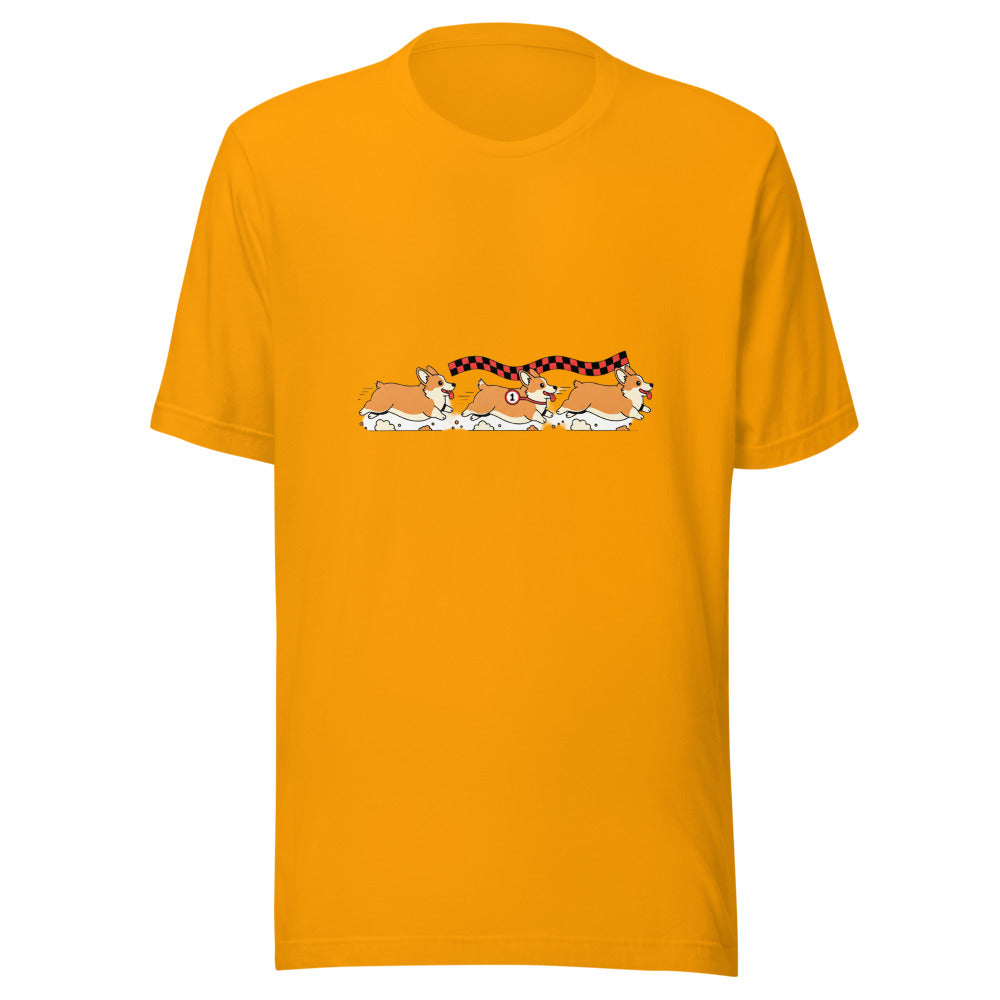 corgi race - 4081