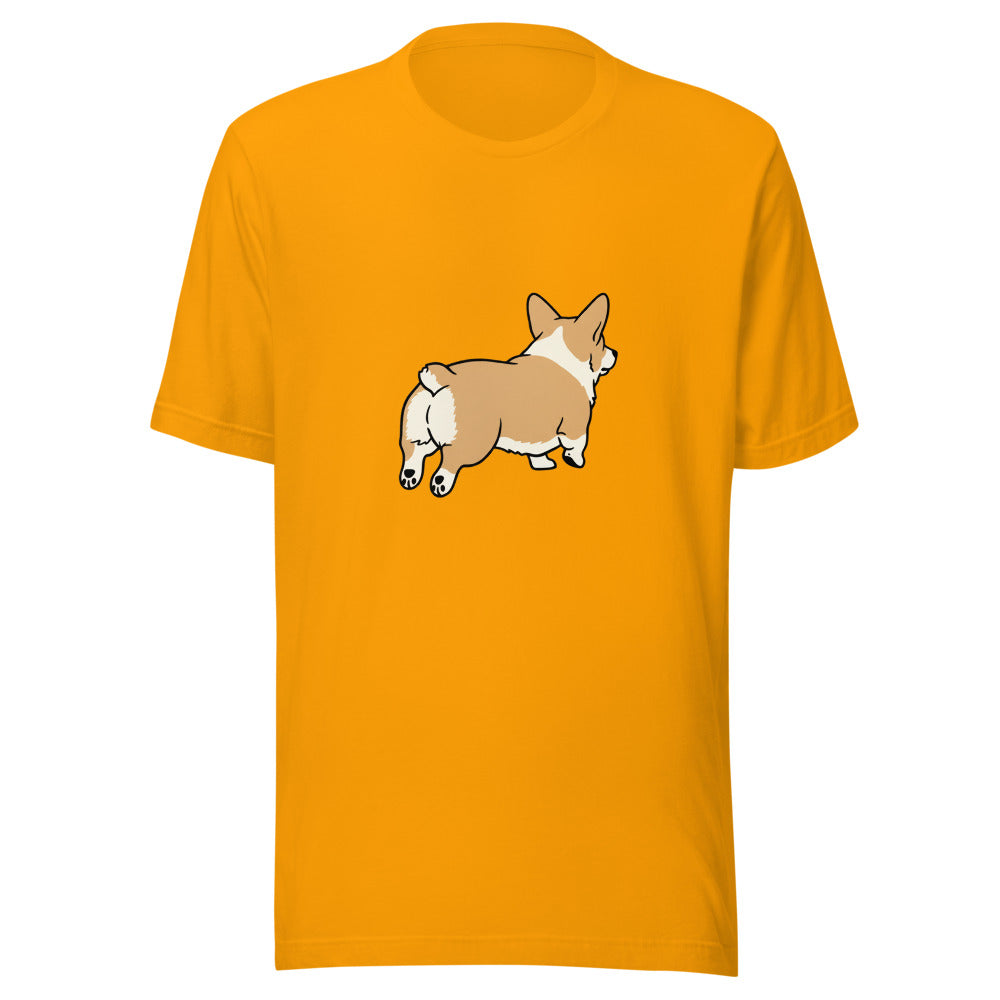 pembroke corgi - 4081