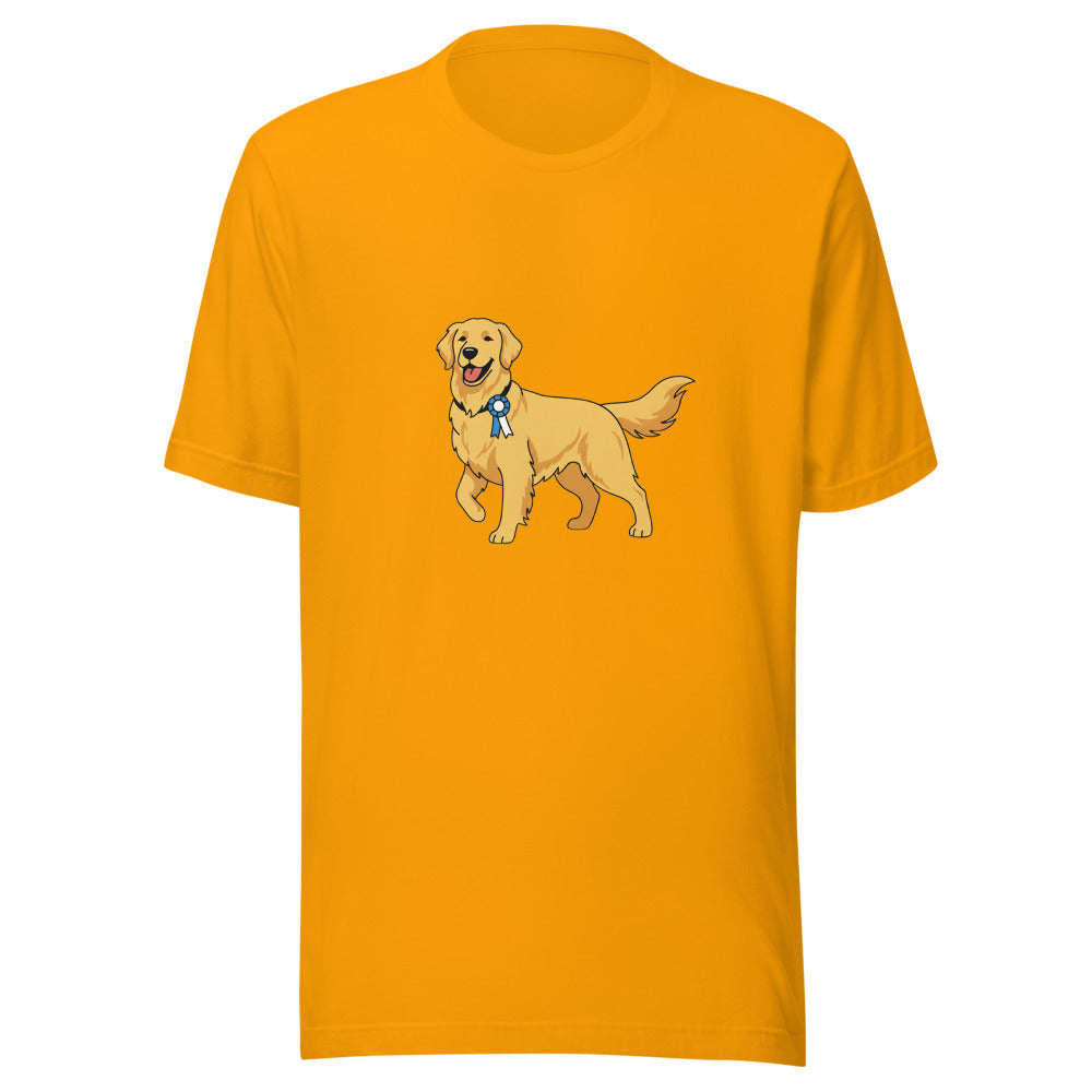 show golden retriever - 4081