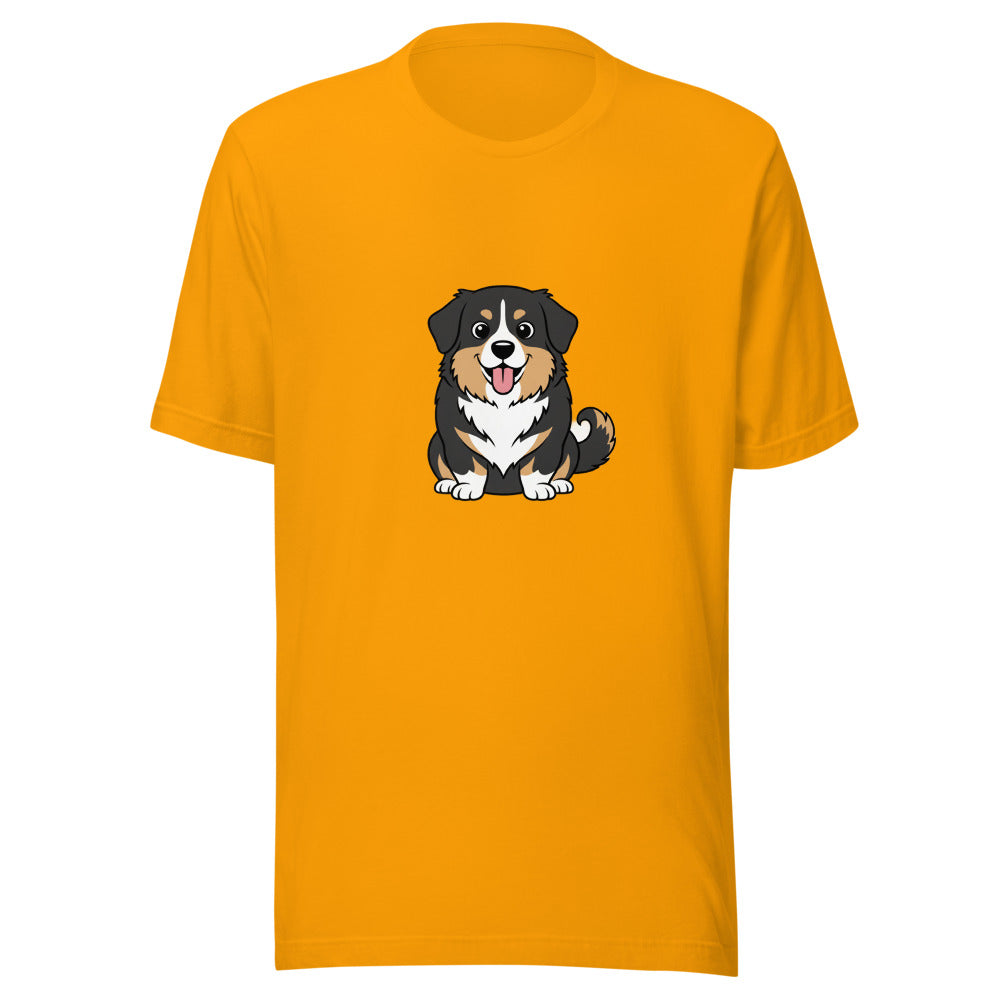 newfoundland corgi mix - 4081
