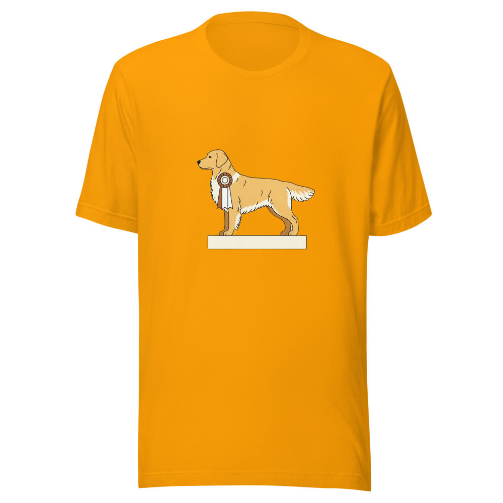 show golden retriever - 4081