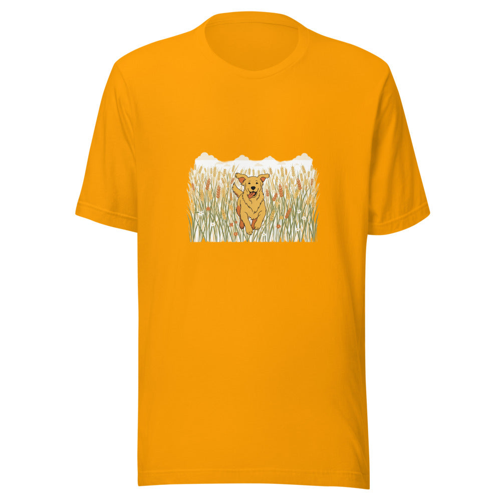 field golden retriever - 4081