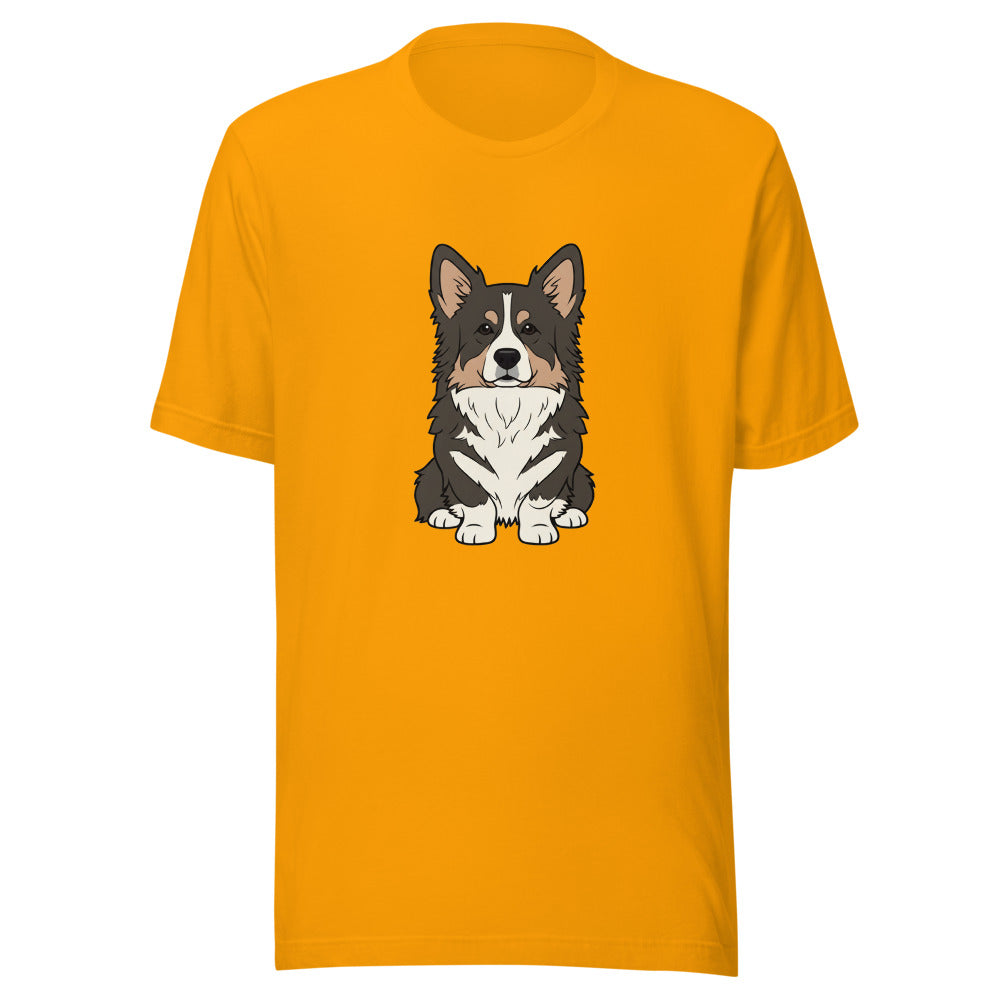 newfoundland corgi mix - 4081