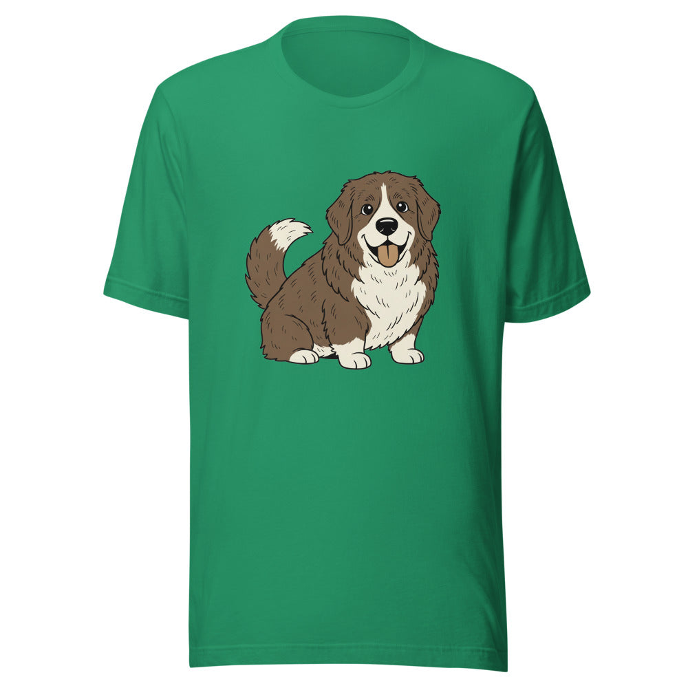 corgi mixed with newfoundland - 4086