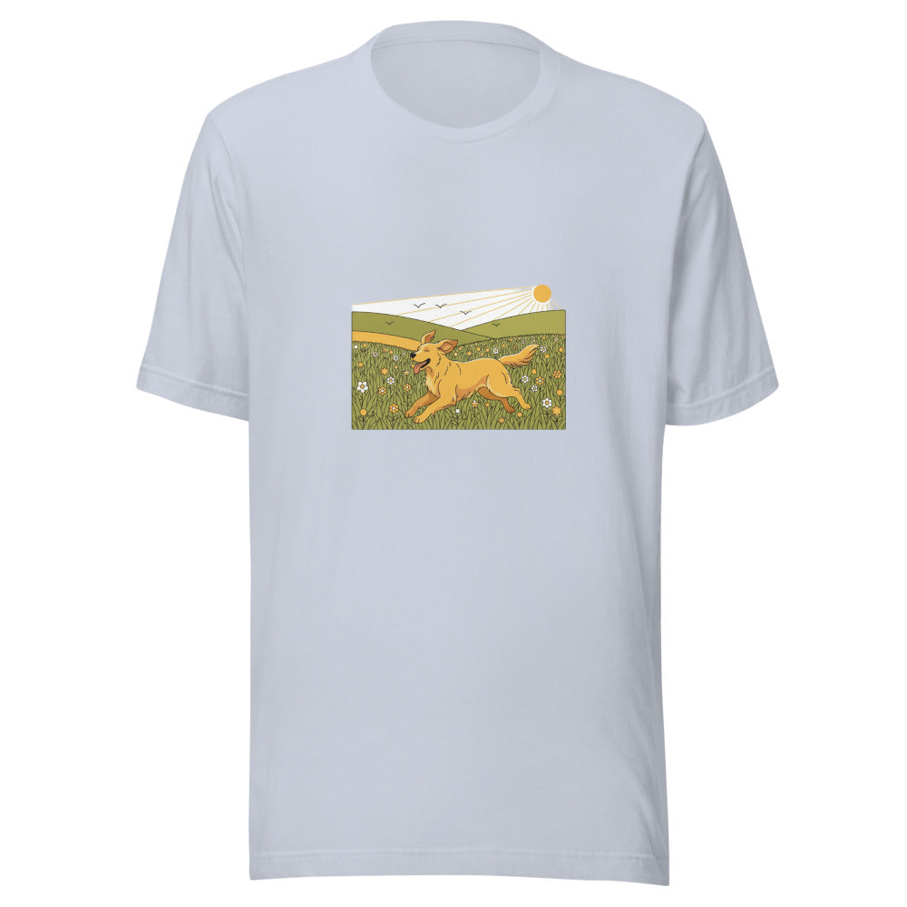 field golden retriever - 4096