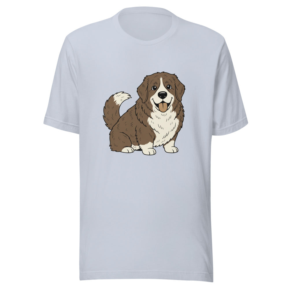 corgi mixed with newfoundland - 4096