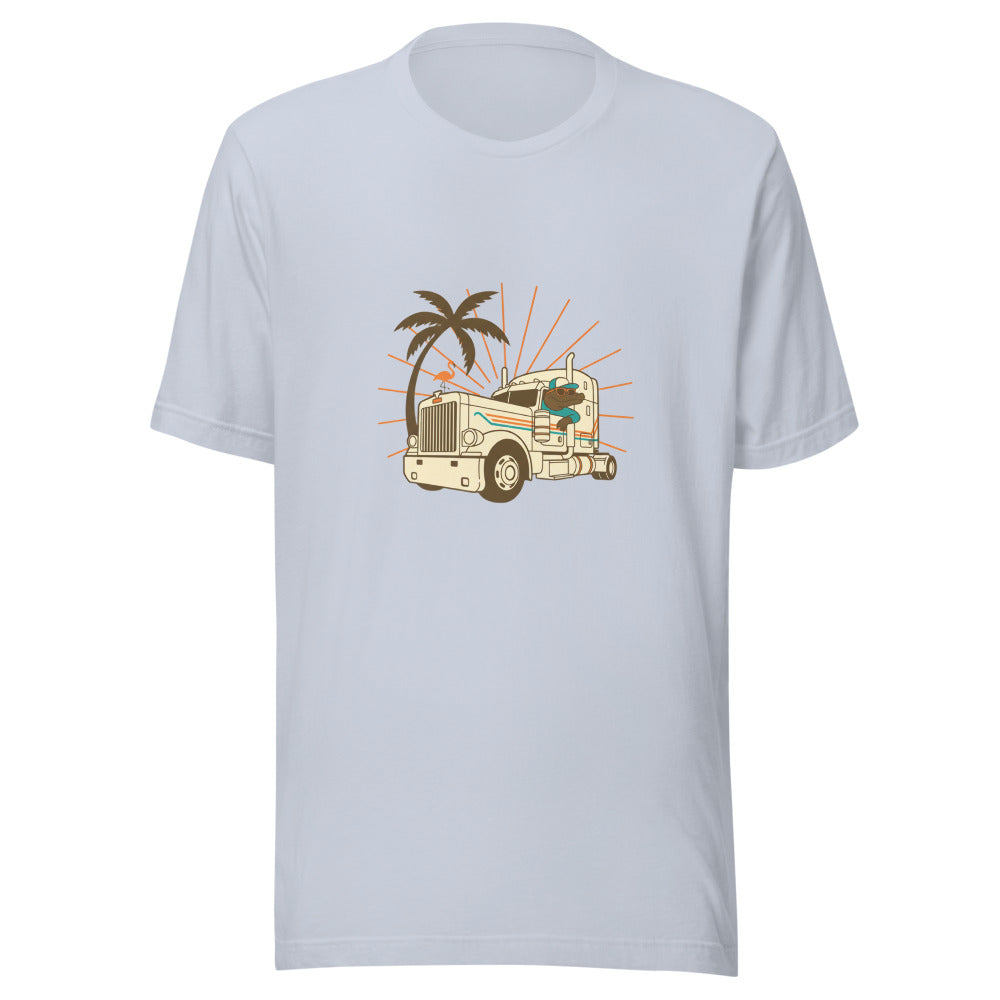 florida truck driver - 4096