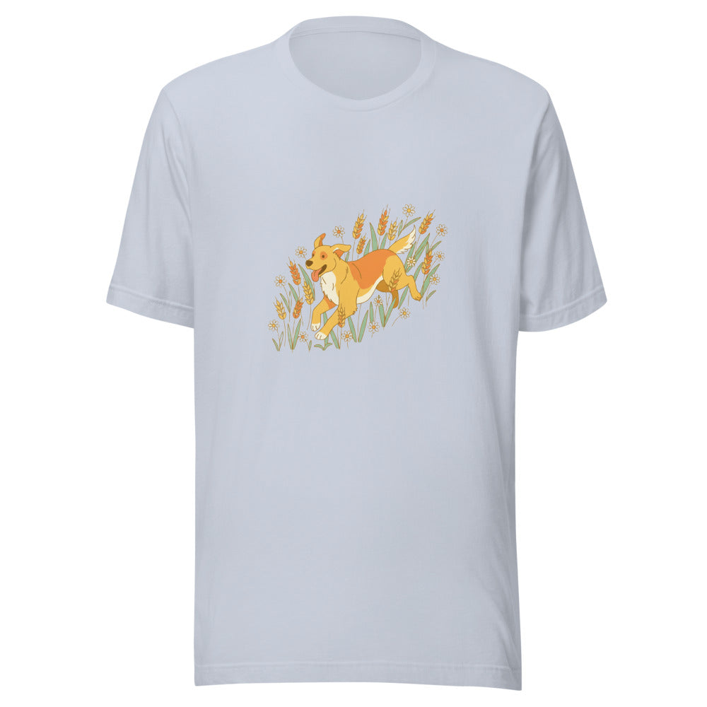 field golden retriever - 4096