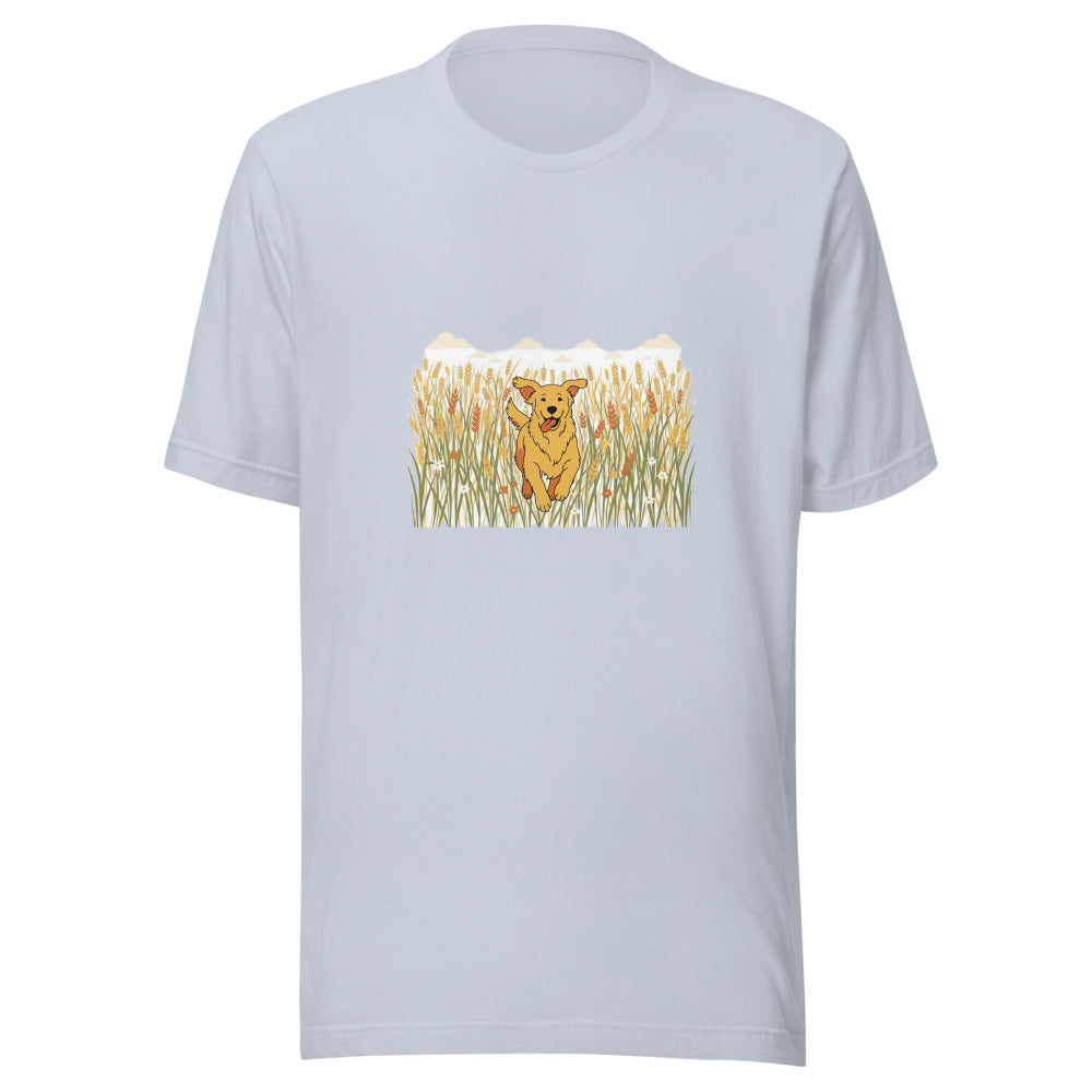field golden retriever - 4096