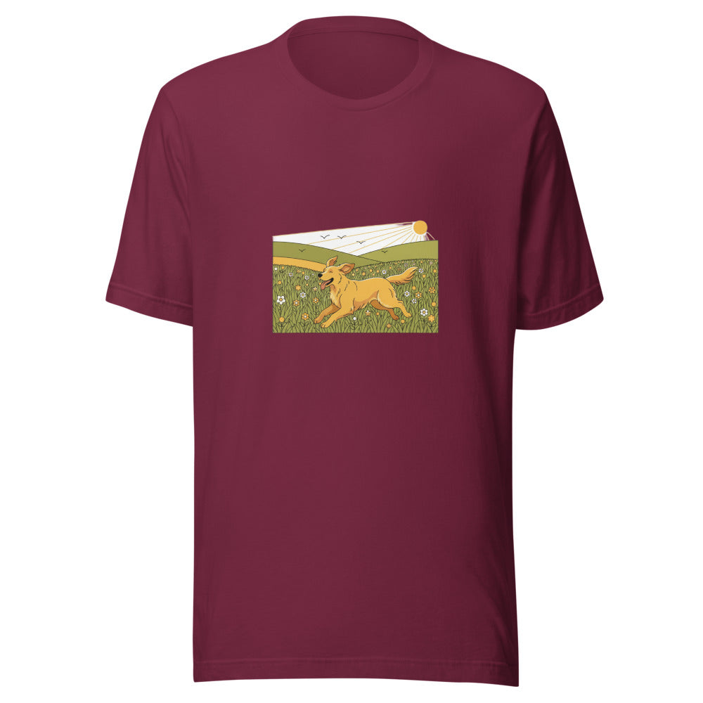 field golden retriever - 4106