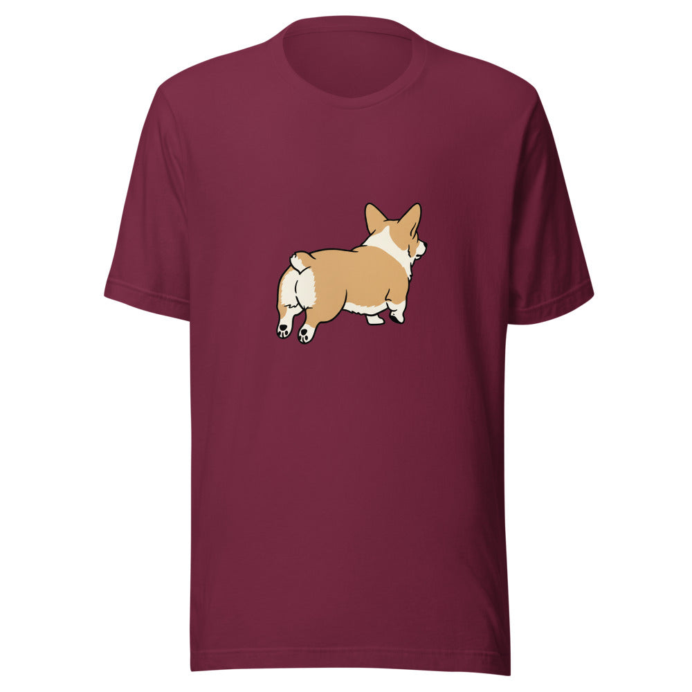 pembroke corgi - 4106