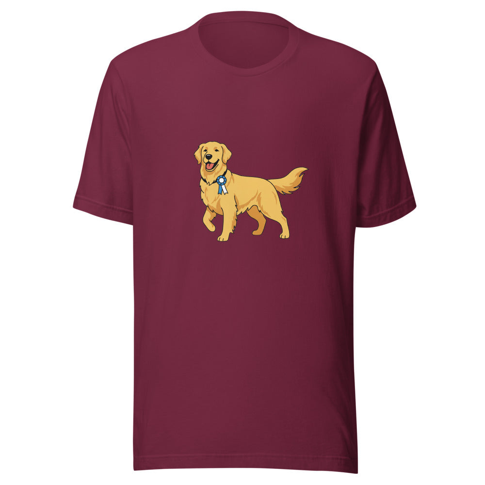 show golden retriever - 4106