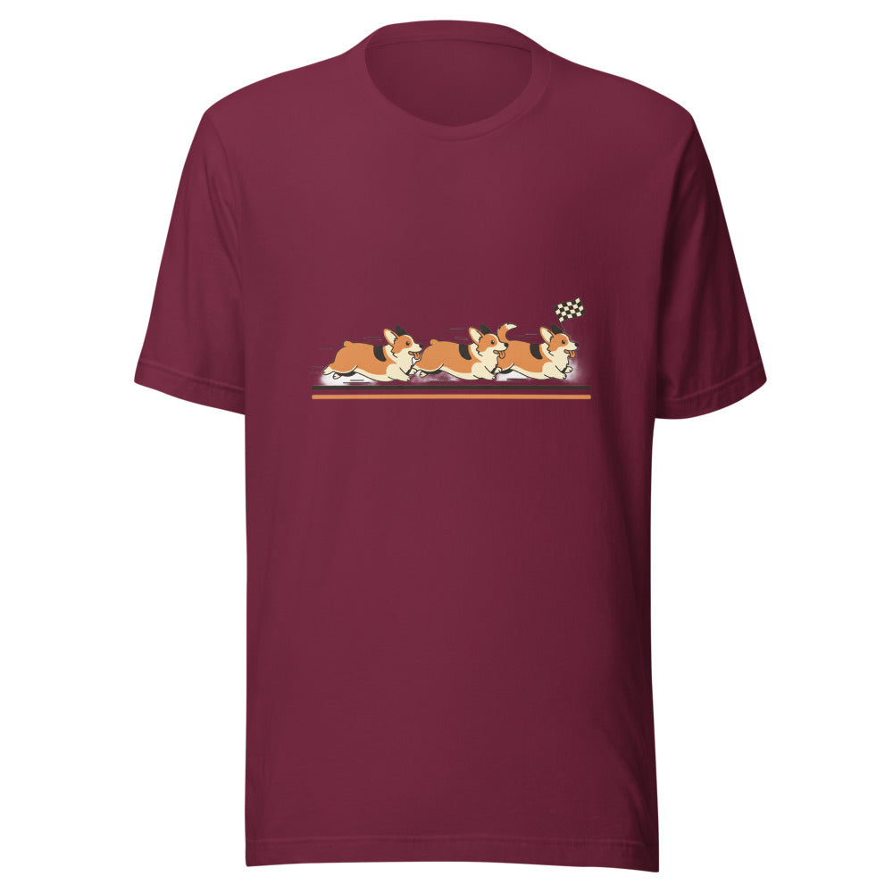 corgi race - 4106