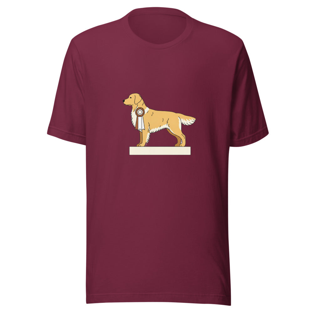 show golden retriever - 4106