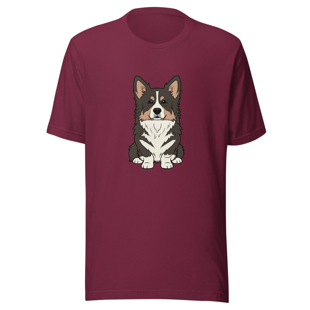 newfoundland corgi mix - 4106