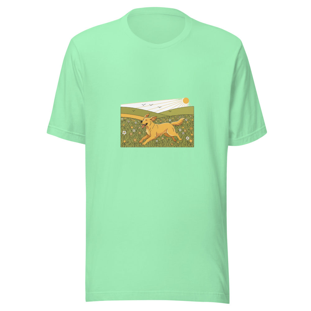 field golden retriever - 22041